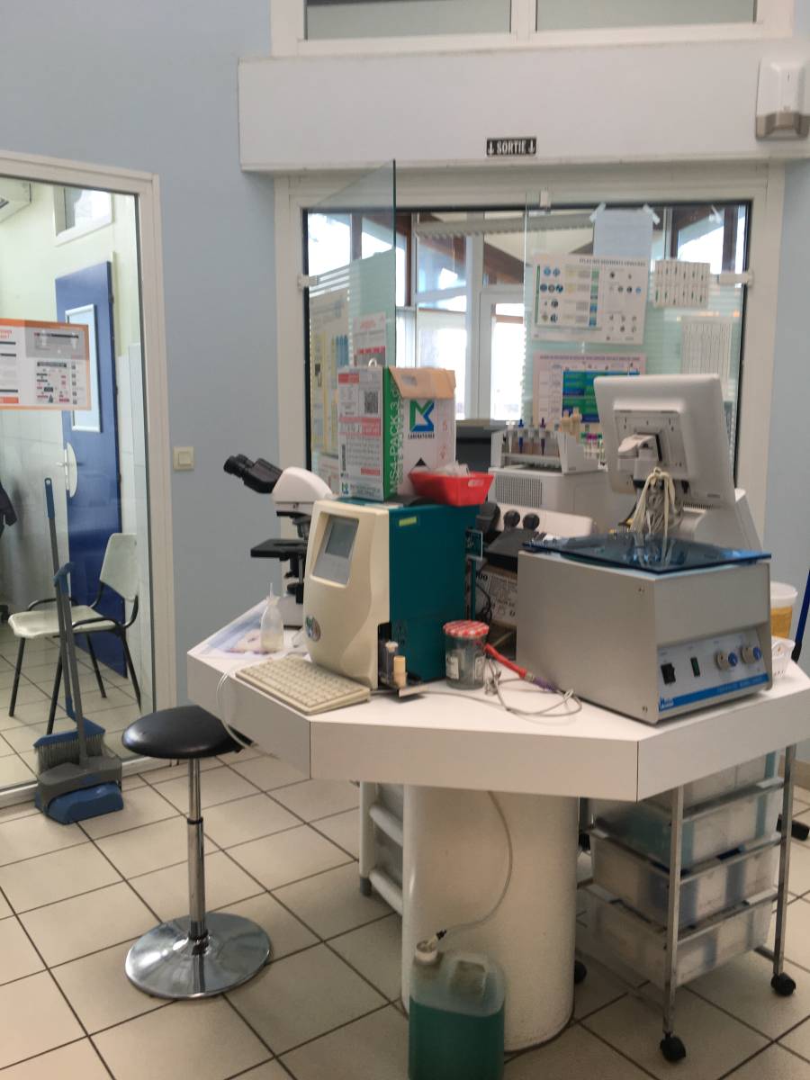 architecte pour rénovation, extension et construction d'un cabinet vétérinaire à Coutras