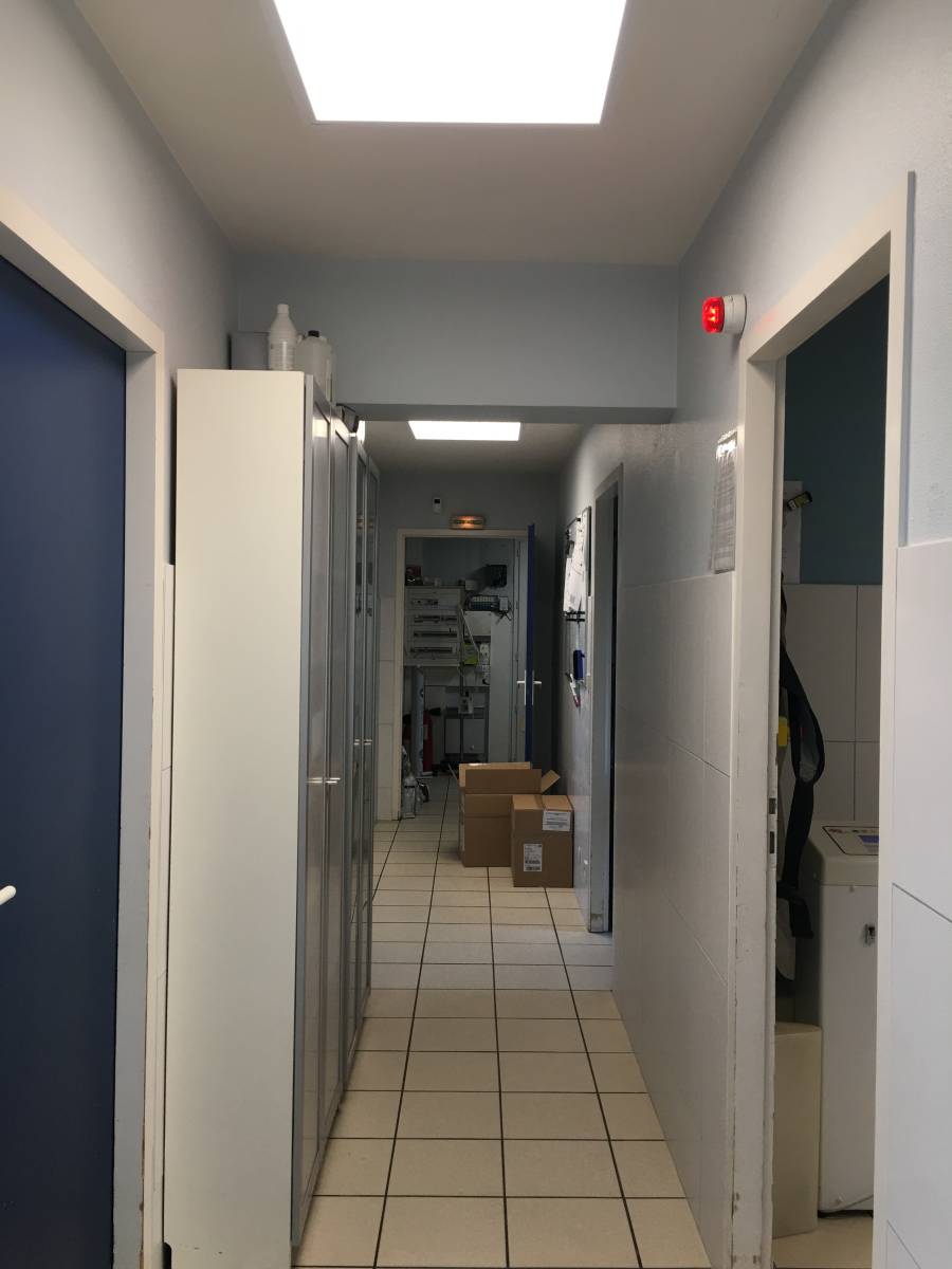 architecte pour Extension bois d’une clinique vétérinaire à Coutras, proche de Libourne : rénovation complète haut de gamme de 300 m²
