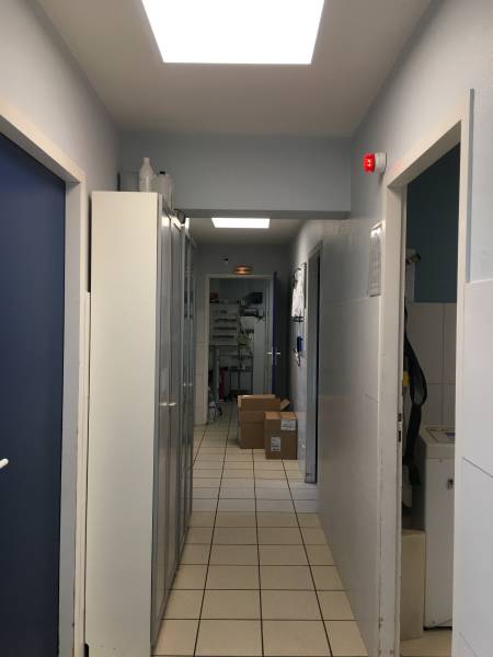 architecte pour Extension bois d’une clinique vétérinaire à Coutras, proche de Libourne : rénovation complète haut de gamme de 300 m²